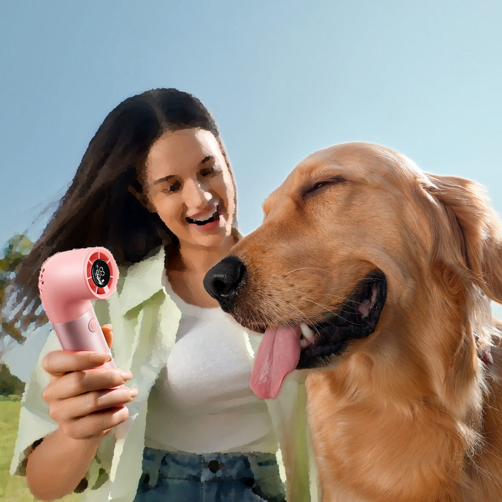 Aecooly PH01 Aero Pro Serisi Dijital LED Göstergeli Portatif Soğutucu El Fanı Siyah