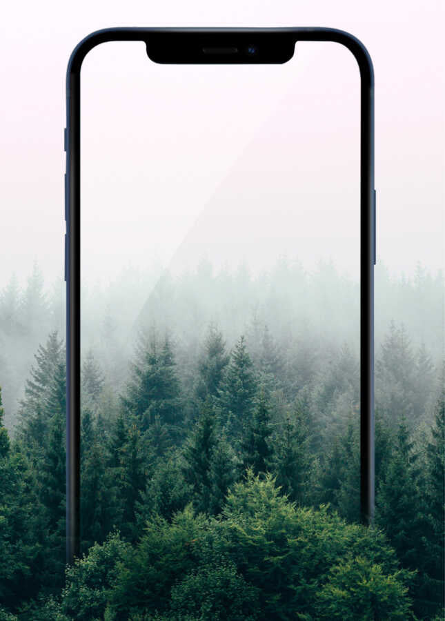 Apple iPhone 11 Pro Max Wiwu iPrivacy HD Anti-Peep Ekran Koruyucu Siyah