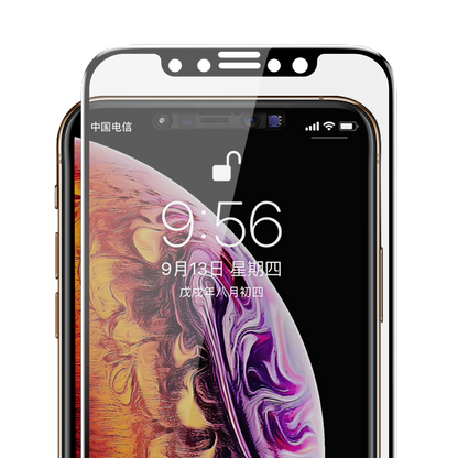 Apple iPhone XS Max 6.5 Benks 0.3mm V Pro Privacy Ekran Koruyucu Siyah