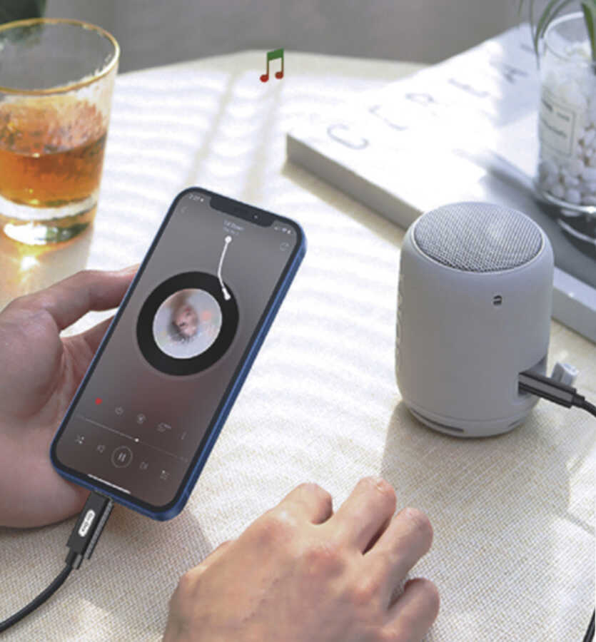 Go Des GAC-303 Lightning To 3.5mm Aux Kablo Siyah