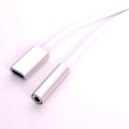 Go Des GD-UC010 2 in 1 Usb-C To 3.5mm Audio Adaptör Gri