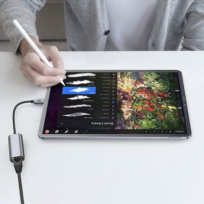 Qgeem QG04 Type-C to RJ45 Ethernet Dönüştürücü Kablo 1024Mbps 22cm Gri