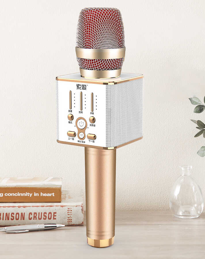 Soaiy MC1 Karaoke Mikrofon Rose Gold