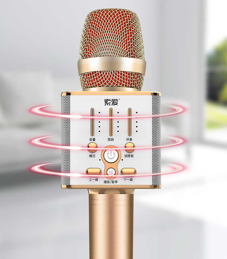 Soaiy MC1 Karaoke Mikrofon Rose Gold
