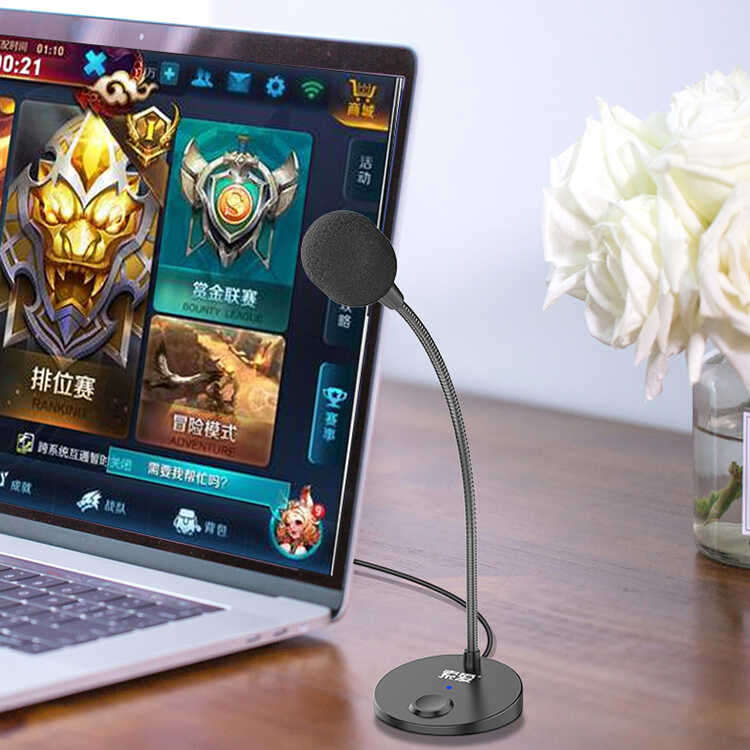 Soaiy MK2 Mikrofon Usb Siyah