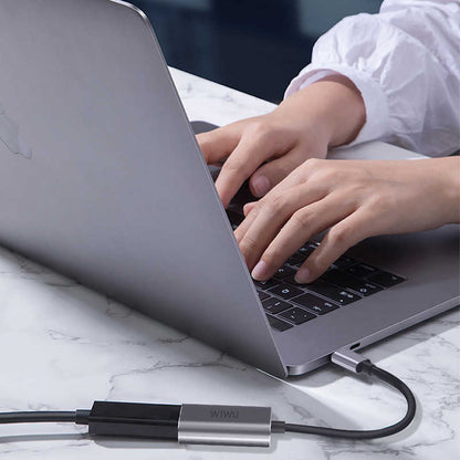 Wiwu Alpha Type-C to VGA Adaptörü Gri