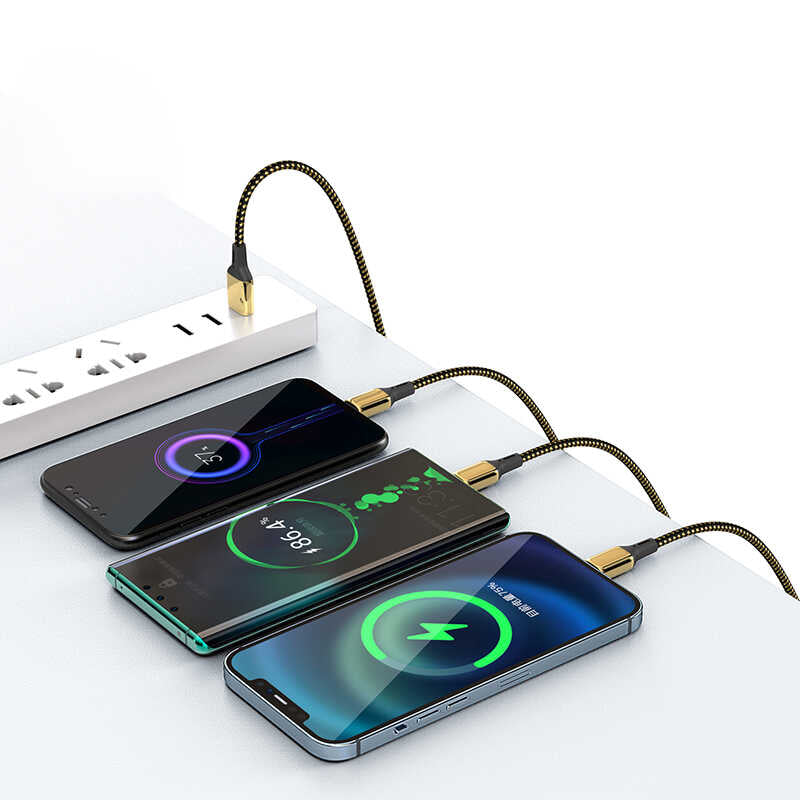 Wiwu Golden Series GD-101 Type-C Data Kablo 2M Gold