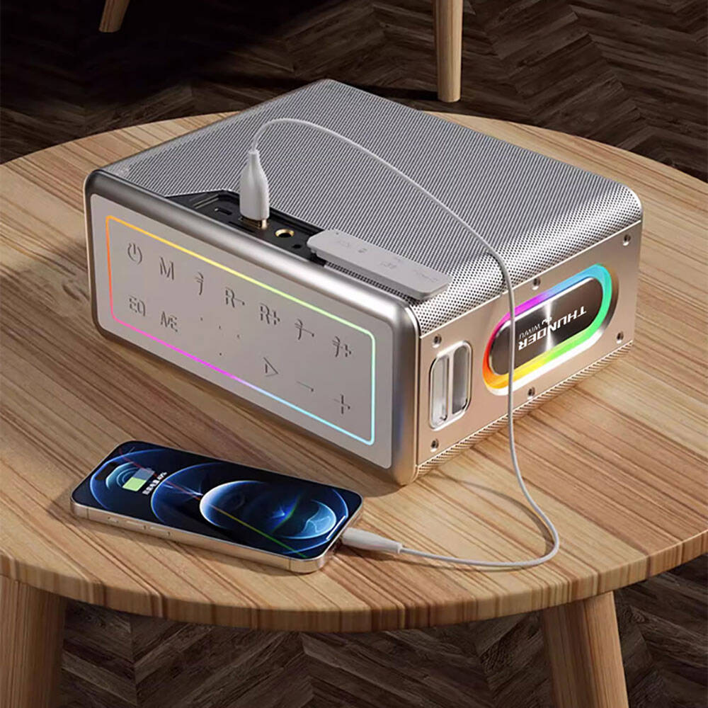 Wiwu P19 Thunder Bluetooth Speaker Hoparlör ve Karaoke Bluetooth Çift Mikrofon Gümüş