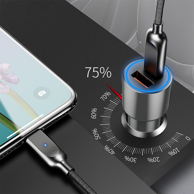 Wiwu PC100 Araç Şarjı Gri